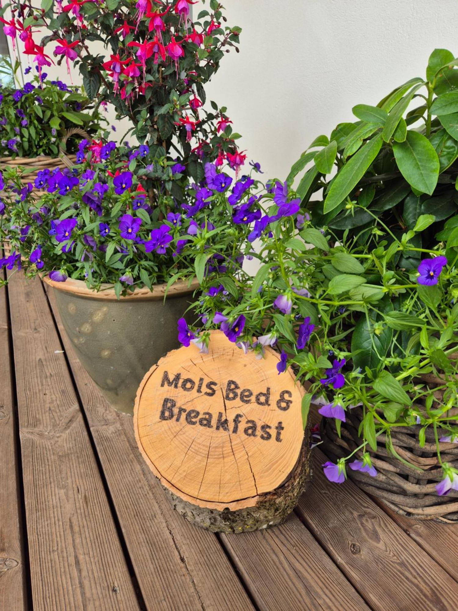 Mols Bed & Breakfast Knebel Exterior foto